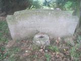 image of grave number 264414